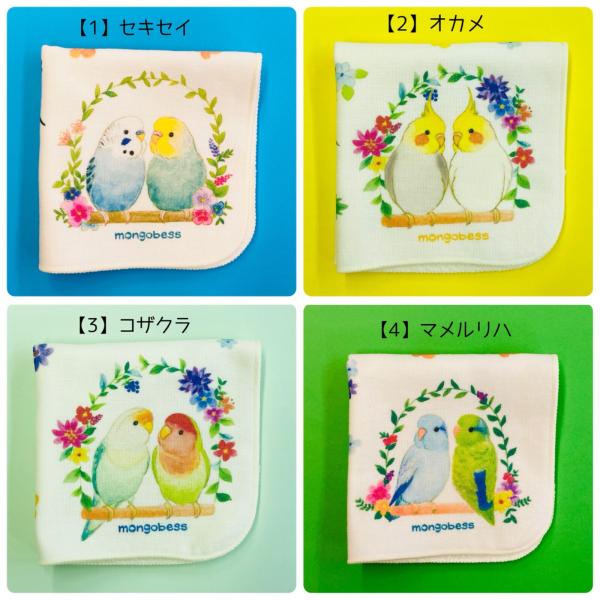 未使用品◎ヴェルサーチ スカーフ 大判ハンカチ インコ オウム 鳥 未使用品◎ヴェルサーチ スカーフ 大判ハンカチ インコ オウム