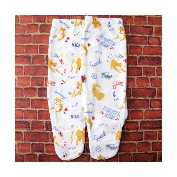 ݌Ɍ@ѕz\bNX@fC΂@AC{[ G݁EObYEČ