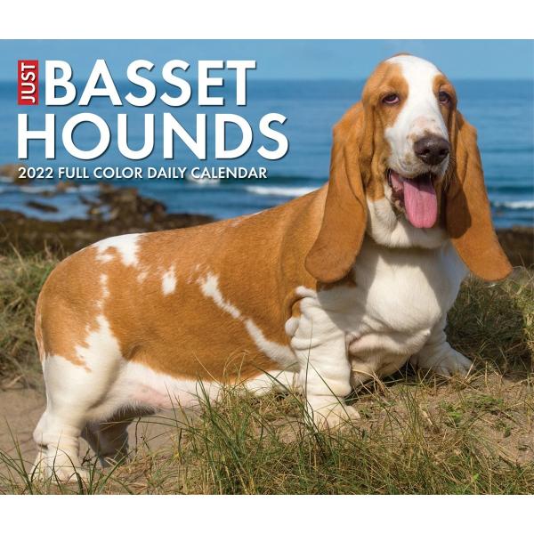 21年 ドッグブリードデスクカレンダー 日めくり バセット ハウンド Justbassethoundsdeskcalendar 犬雑貨専門店 銀屋 通販 Yahoo ショッピング