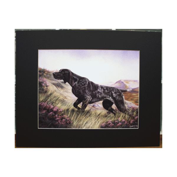 ݌Ɍ@}bgvg@W[}V[gwA[hE|C^[@1@AG݁@G݁@ObY