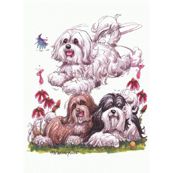 グリーティングカード ハバニーズ 輸入雑貨 犬雑貨 犬グッズ Mc52 犬雑貨専門店 銀屋 通販 Yahoo ショッピング