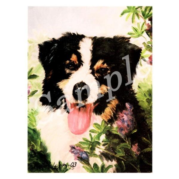 オーストラリア カード その他犬用ペットグッズの人気商品 通販 価格比較 価格 Com