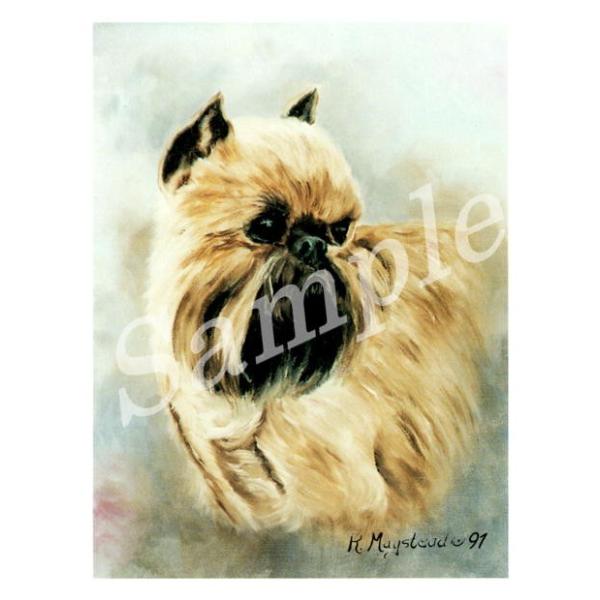 グリーティングカード Ruth ブリュッセル グリフォン Face 輸入雑貨 犬雑貨 犬グッズ Ruth Brg 1 犬雑貨専門店 銀屋 通販 Yahoo ショッピング