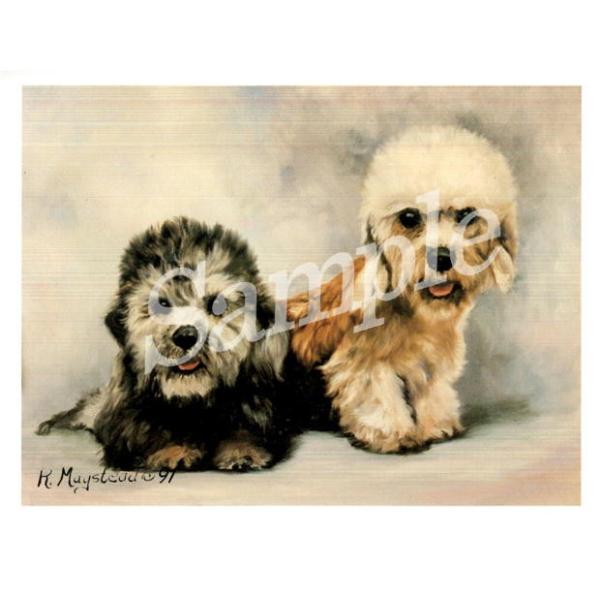 グリーティングカード Ruth ダンディ ディモント テリア 輸入雑貨 犬雑貨 犬グッズ Ruth Ddt 3 犬雑貨専門店 銀屋 通販 Yahoo ショッピング