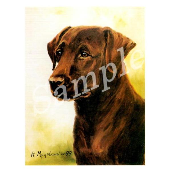 ݌Ɍ@O[eBOJ[h Ruth@uh[Eg[o[@Red Head Shot@AG݁@G݁@ObY