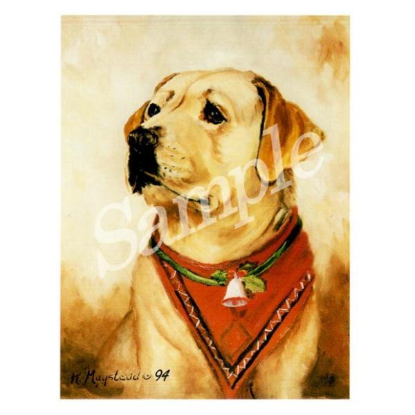 ݌Ɍ@NX}XJ[h Ruth@uh[@CG[u@AG݁@G݁@ObY