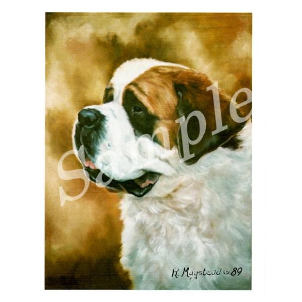 グリーティングカード Ruth セント バーナード No2 輸入雑貨 犬雑貨 犬グッズ Ruth Stb 2 犬雑貨専門店 銀屋 通販 Yahoo ショッピング