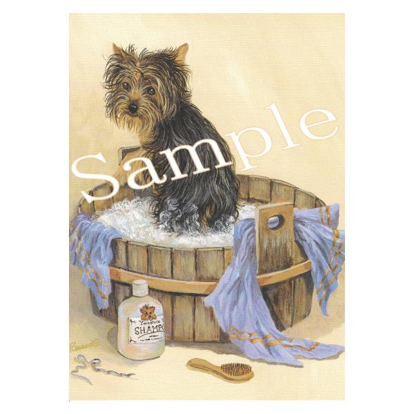 グリーティングカード ヨークシャー テリア ヨーキー 輸入雑貨 犬雑貨 犬グッズ Suzanne G70 犬雑貨専門店 銀屋 通販 Yahoo ショッピング