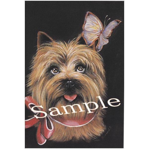 ݌Ɍ@O[eBOJ[h@PA[EeA/PA@AG݁@G݁@ObY