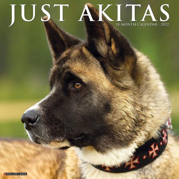 秋田犬 犬用ペットグッズの人気商品 通販 価格比較 価格 Com