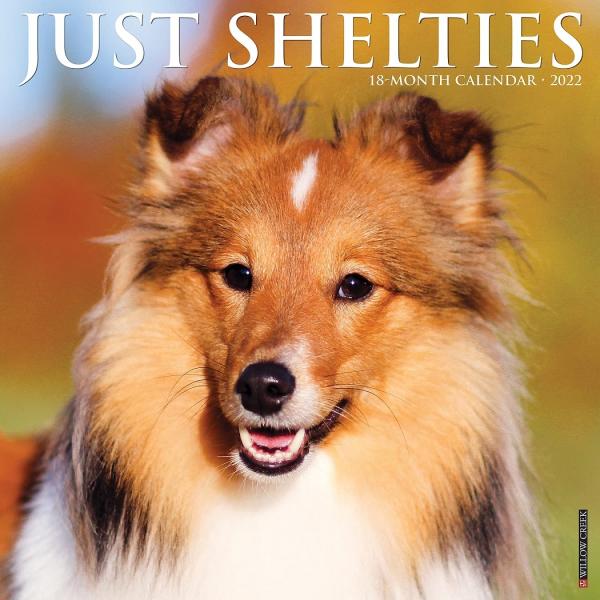 21年 ドッグブリードカレンダー 壁掛け シェットランド シープドッグ シェルティ Willowjustshelties 犬雑貨専門店 銀屋 通販 Yahoo ショッピング