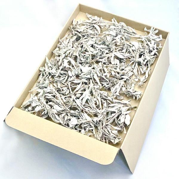 zCgZ[W 100g I NX^[ 1@@򉻁@AJ@JtHjAY@}ɕ̗t@_@i`@