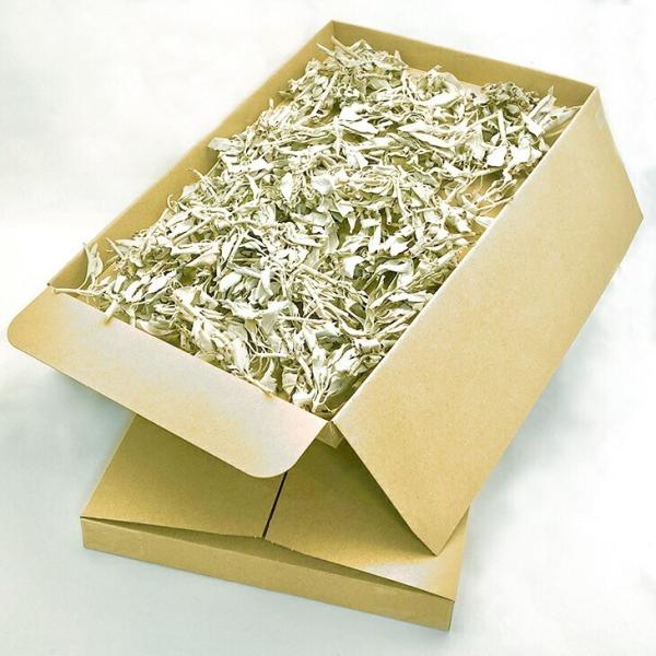 zCgZ[W 200g I NX^[ 100g2@@򉻁@AJ@JtHjAY@}ɕ̗t@_@̃n[u