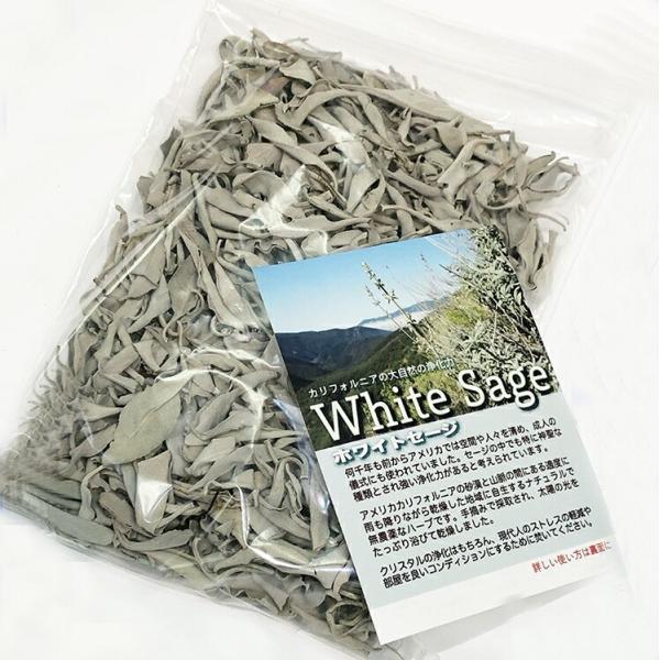 zCgZ[W60g Iʃ[tiM[ij P@@15g??SAJ@JtHjAY@_@i`@̍@