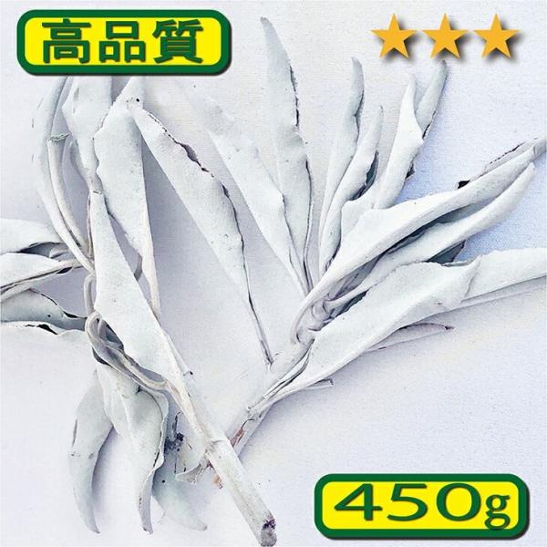 zCgZ[W 500gM[ i NX^[ Ɩp 1@@򉻁@AJ@JtHjAY@}ɕ̗t@_@i`@A