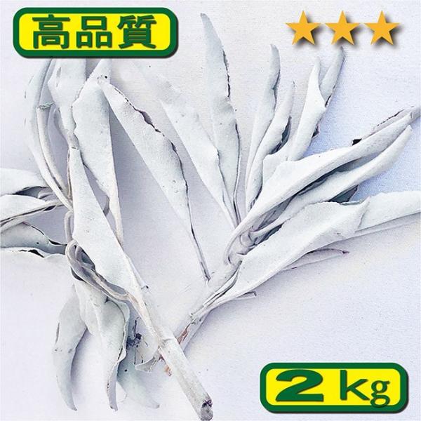 zCgZ[W 2kg NX^[  Ɩp2kg@@򉻁@AJ@JtHjAY@}ɕ̗t@_@i`@A