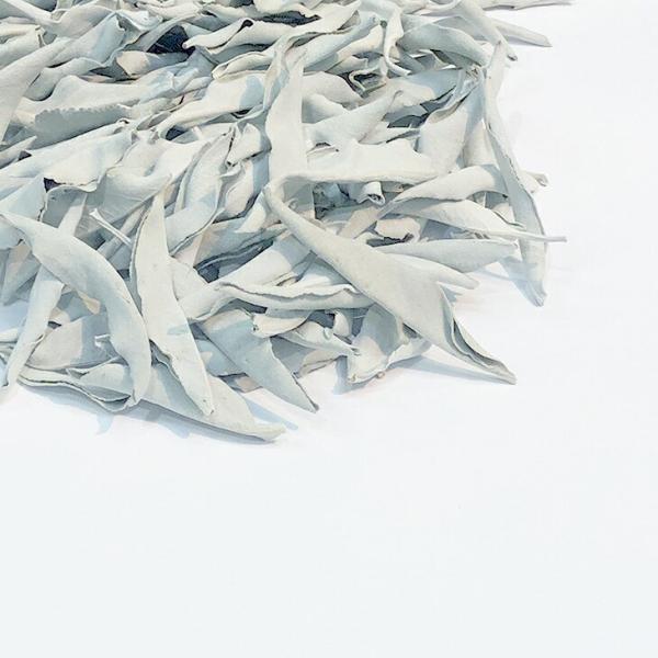 zCgZ[W 45g i [t 1@@v~A@15g×R@򉻁@AJ@JtHjAY@̃oo̗t@_@i`