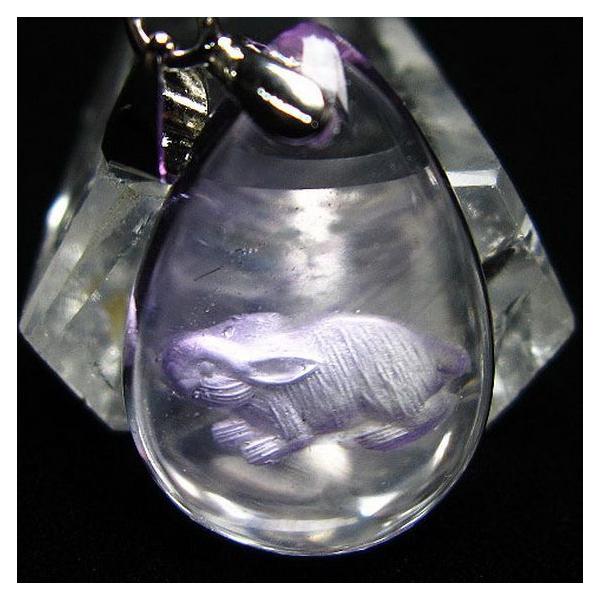 AWXg\xuKv  y_g  t365-611