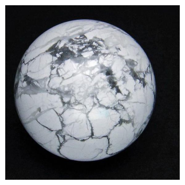 �n�E���C�g�y�H��y�΁z �ۋ� 50mm  t463-1746