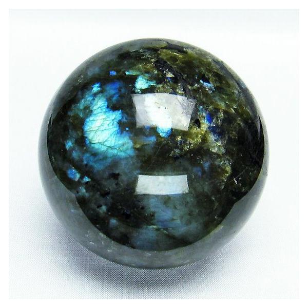 ���u���h���C�g �ۋ� 70mm  t484-1794