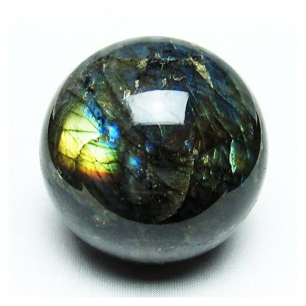 ���u���h���C�g �ۋ� 64mm  t484-2247