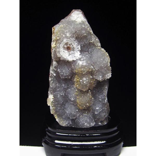 t[AWXgNX^[ t504-6557