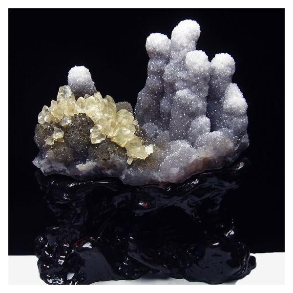 5.1Kg t[AWXgNX^[ JTCg t504-6646