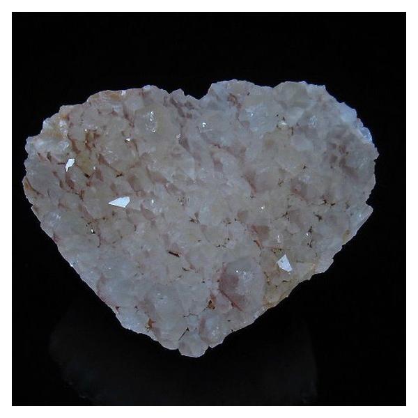 X[p[Zu n[g u t602-1889