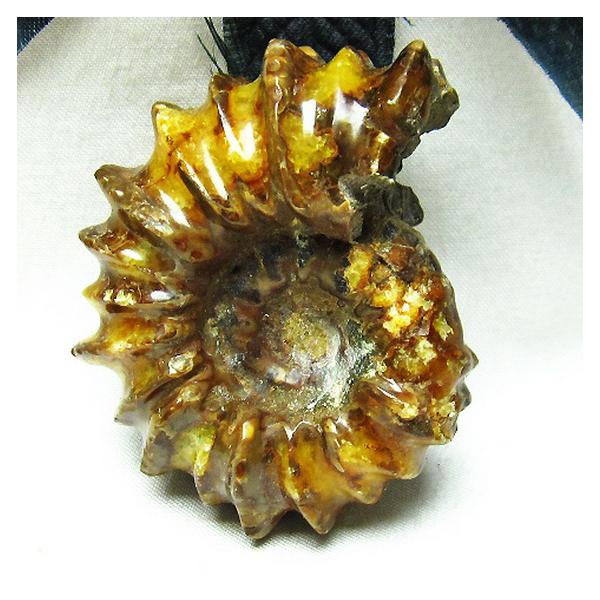 �h�D�r���C�Z���X  ���� t723-1351