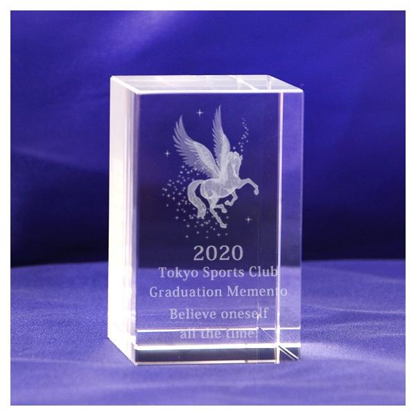 3DyKTX gtB[ NX^ ubN 50x80mm \ n N   ܏ y[p[EFCg bZ[W ㍞ ^NKTR-0057