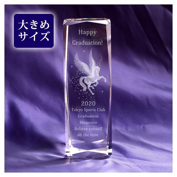 3D�y�K�T�X �g���t�B�[ �N���X�^�� �u���b�N 50x150mm ���b�Z�[�W���� �L�O�i �\�� �n�� ���N ���� ������ �܏� �y�[�p�[�E�F�C�g �����㍞�� �^NKTR-0067