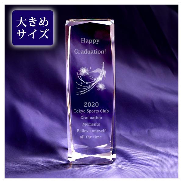 3D�P�� �N���X�^�� �u���b�N 50x150mm �y�[�p�[�E�F�C�g �L�O�i ��� �\�� ������ ���b�Z�[�W���� 3D�z�E�I�E �����㍞�� �^NKTR-0067