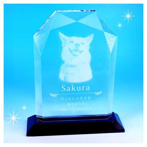 ybg ʔv Vg̉HA NX^KX 傫߃TCY v[g  ㍞ ^NKTR-0116-3