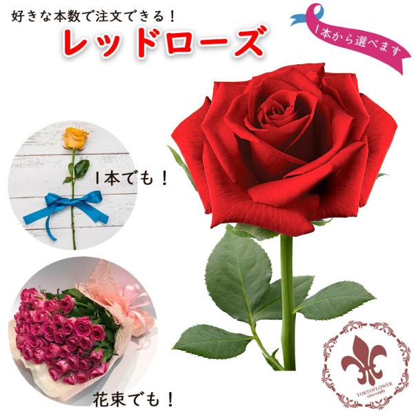 赤いバラの花束 直径 1メートル，75 本 のバラの花かぎ針編み 赤いバラの花束 直径 1メートル，75 本 のバラの花かぎ針編み かぎ針