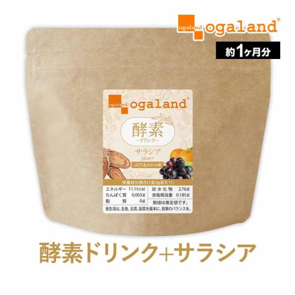 ENZYME FLORA ダイエットドリンク 30包入り さらさら酵素ドリンク 30包 粉末タイプ ファスティング