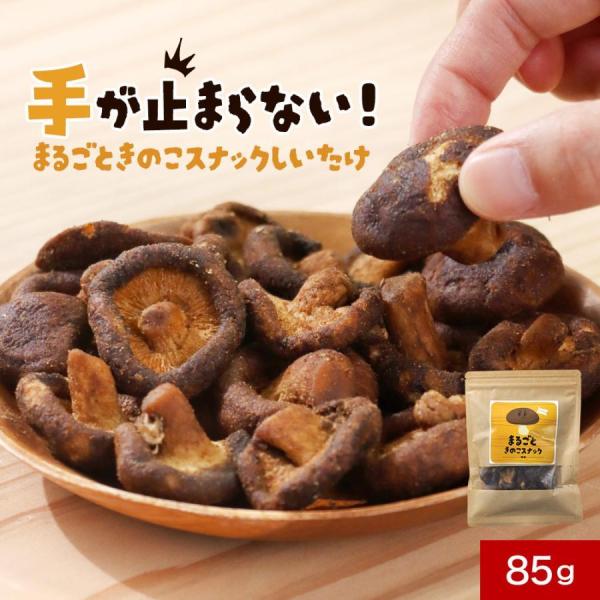 しいたけチップス スナック 85g 塩味 きのこ 野菜 お菓子 おやつ おつまみ 椎茸 クリスプ レビュー特典 ポイント消化