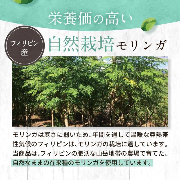 ginzou_tsg0359_3_d_20250519150502