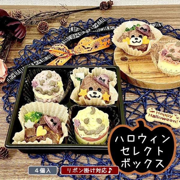 わんこハロウィン セレクトボックスSP ４個入（犬用 ケーキ ご馳走 セット 小分け 小さいサイズ 選べる 誕生日 プレゼント パーティー）