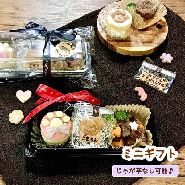 わんこのミニギフト（犬用ケーキ ご飯 クッキー 無添加 グルテンフリー じゃがいも不使用 プレゼント 誕生日 お祝い e1）