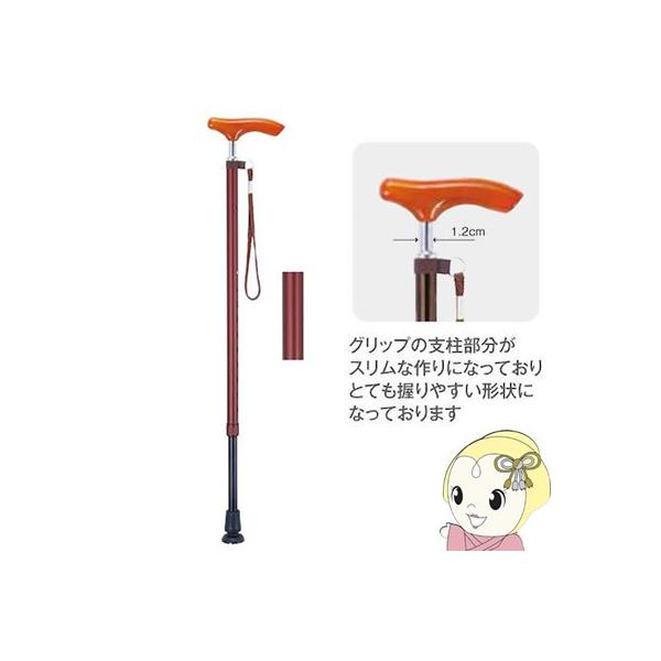 �y���[�J�[�����z AS-250RE �}�L�e�b�N �X�����l�b�N�c�[�g���X�e�b�L�i�L�k�j�@��/��