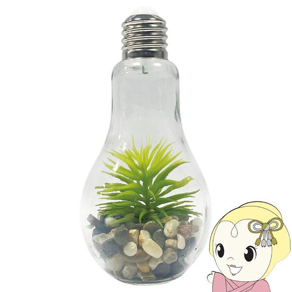 En Fance At@X d^CeACg Terrarium eE iCj EF-RL02-C