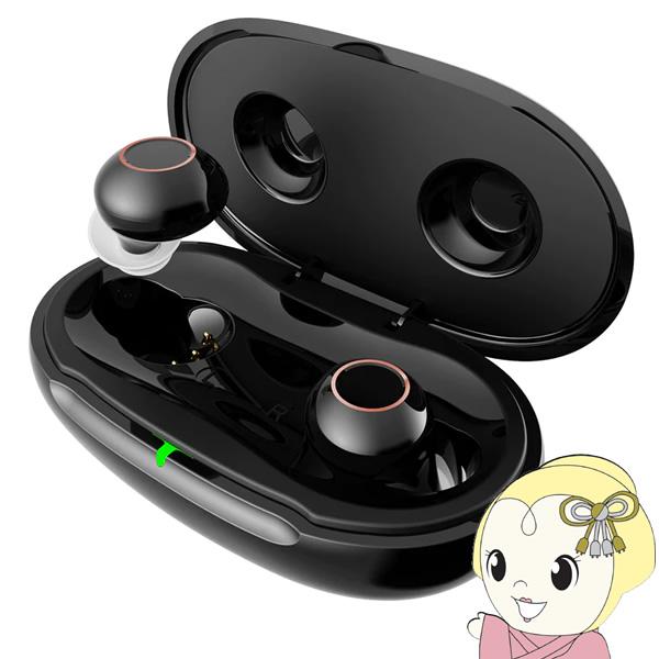 集音器 日健 NIKEN 高感度集音器 耳穴式 両耳タイプ 充電式 軽〜中等度