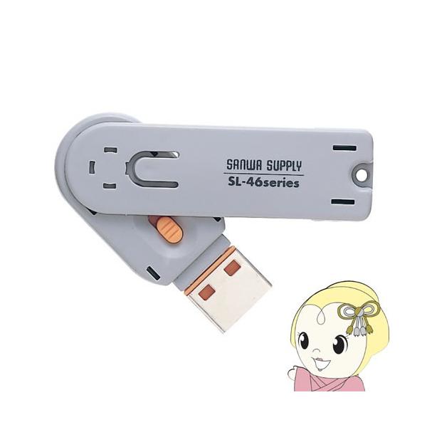 【マイナンバー制度対策にも】 SL-46-D サンワサプライ USBコネクタ取付けセキュリティ オレンジ