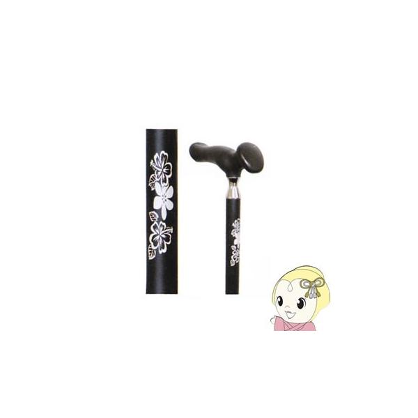 y[J[z WB3834 ~S 邪[^[i܏􎮁j ubN