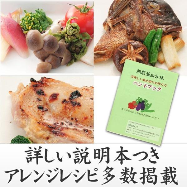 無農薬ぬか床 ぬかの花スタートセット 小 1 2人用 初心者ok カンタン超熟成ぬか床 容器セット 京都 祇園料亭の味 送料無料 一部地域除く Buyee Buyee Japanese Proxy Service Buy From Japan Bot Online