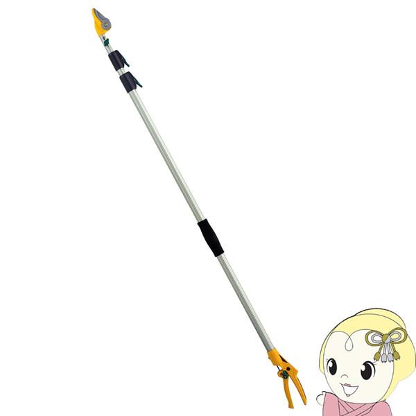 TV |[X3i Arn 336  mRM } ͂  A /srm