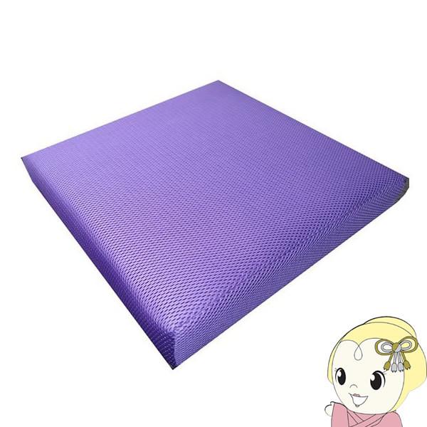 y[J[z a Ԃp NbV bNXUB 70mm ᔽ CK-02UB-VT/srm