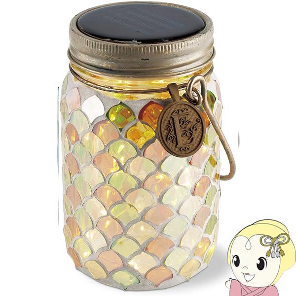 LV} ETOILE Gg XehOX \[[ K[fCg Citrus Nut KL-10354