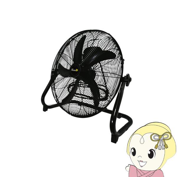 ReeD tAt@@HƗp@ RD-YF451-BK/srm