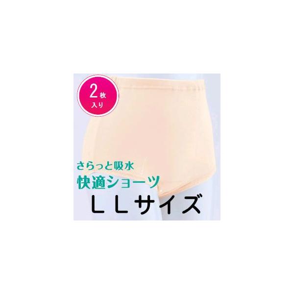 y[J[z ULP-15F a ƋzEKV[c LLTCY 2g